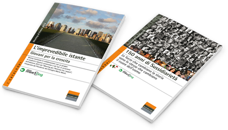 Fondazione per la Sussidiarietà Onlus - Milano, dal 2009