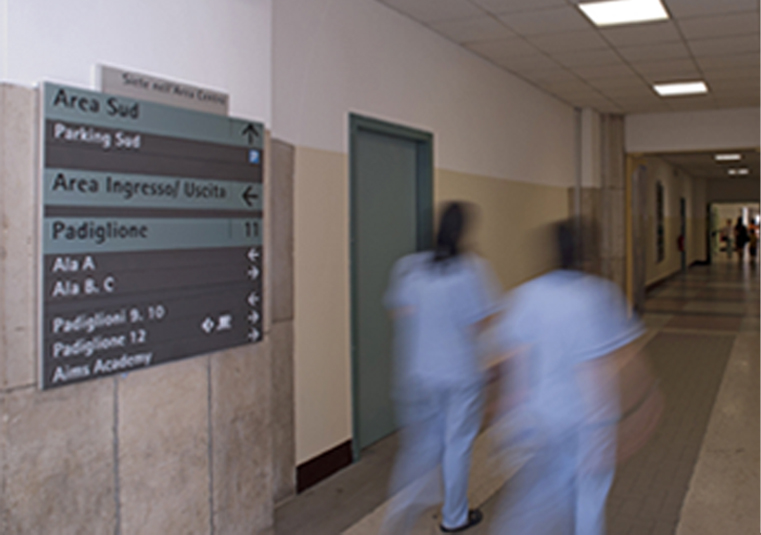 Ospedale Niguarda Ca' Granda<br>Milano, 2010